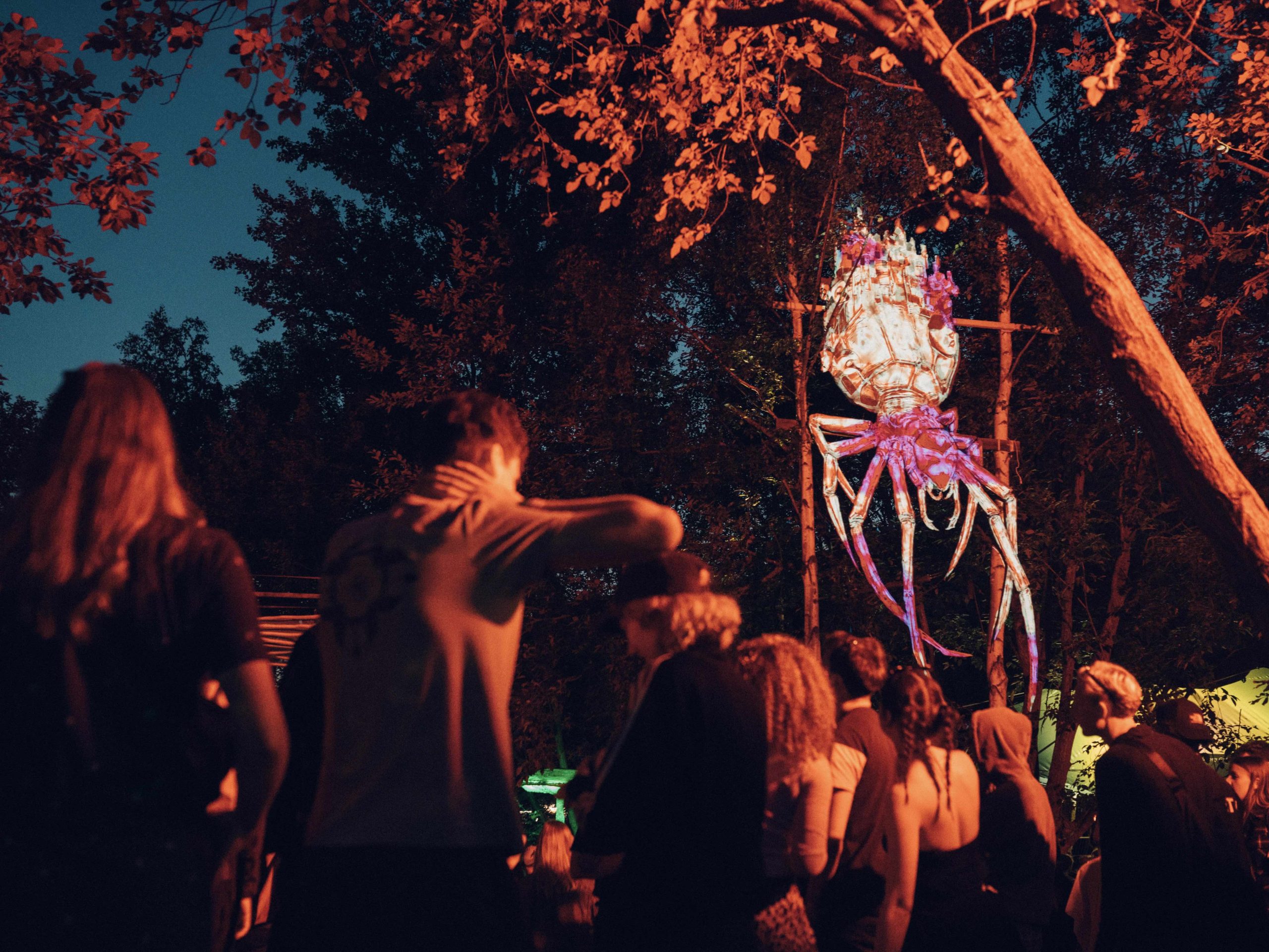Distortion Ø Friday – Photo: Matias Zorrilla