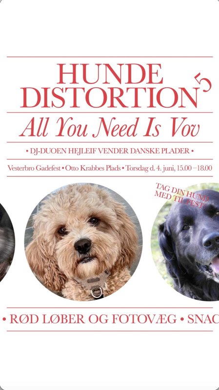 HundeDistortion
